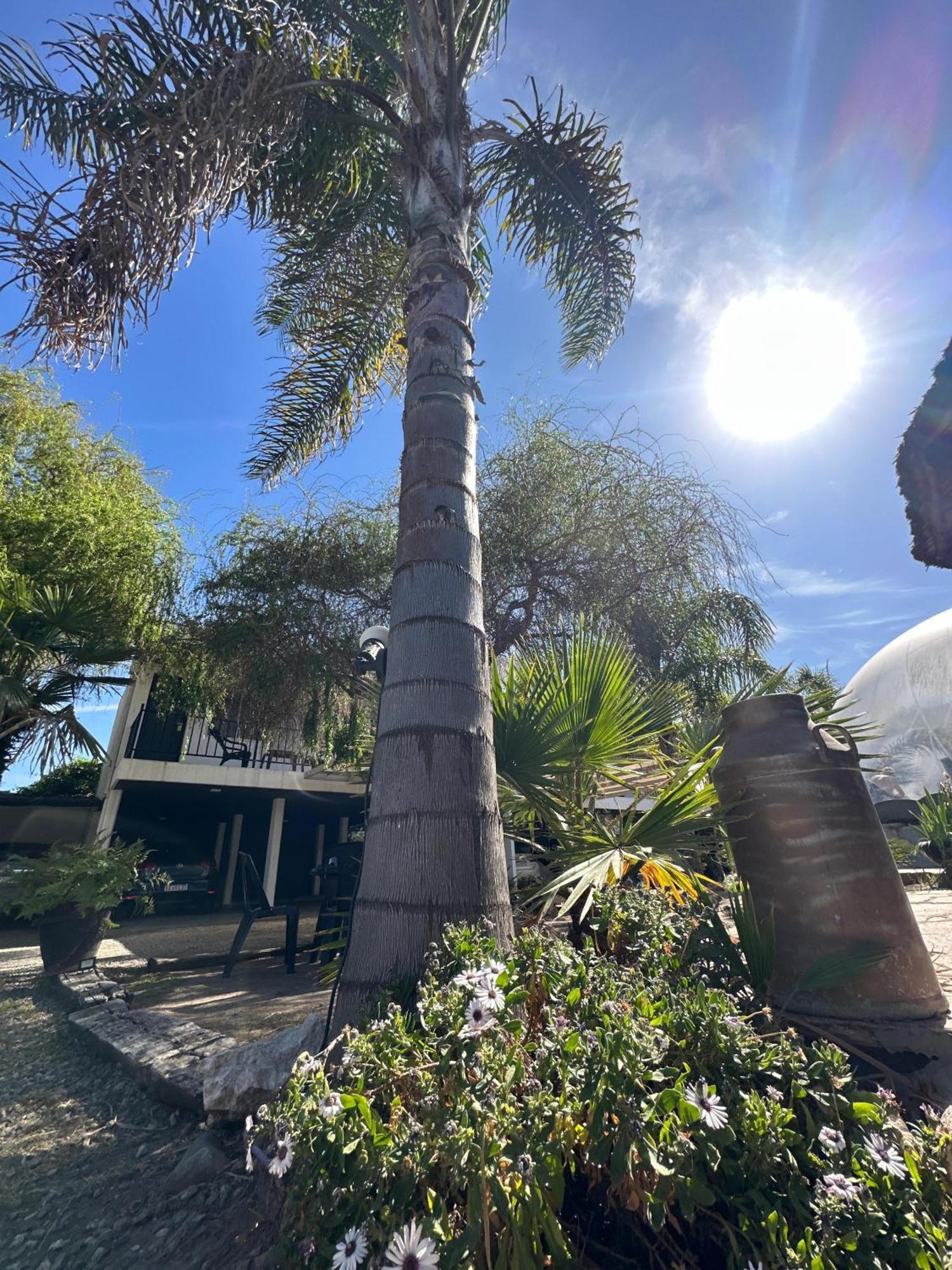 Hotel Posada Del Angel Βίλα Κάρλος Παζ Εξωτερικό φωτογραφία